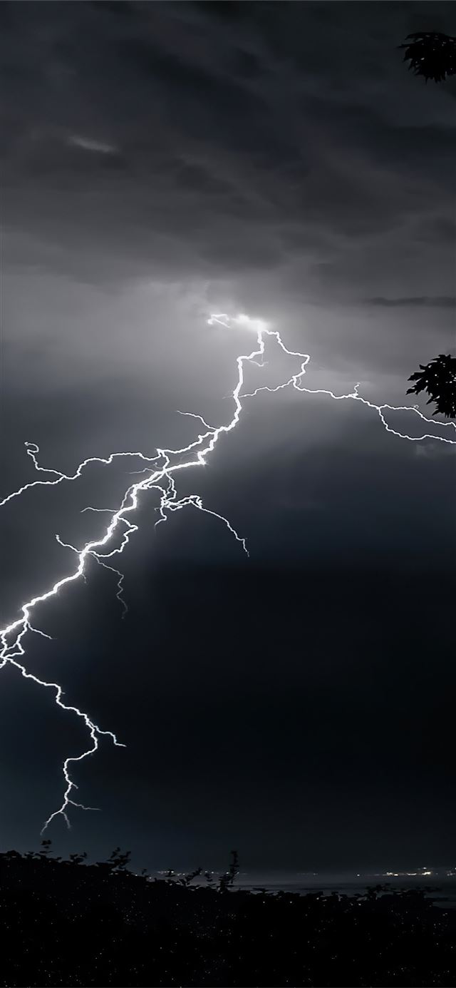 lightning strikes on trees 4k iPhone 12 wallpaper 