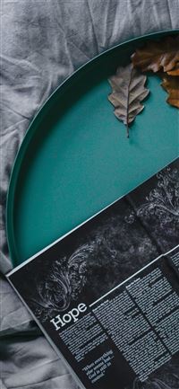 book and dried leaves on green plate wallpaper