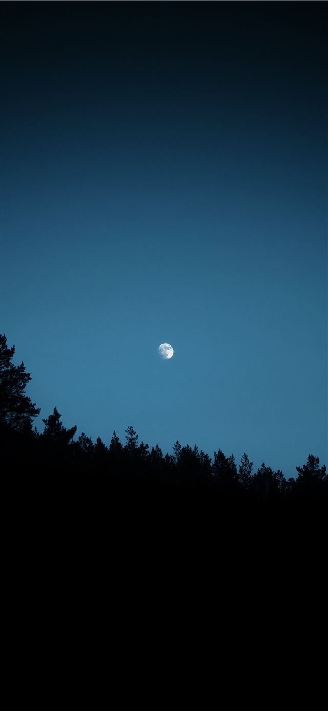 full moon over green trees iPhone 12 wallpaper 