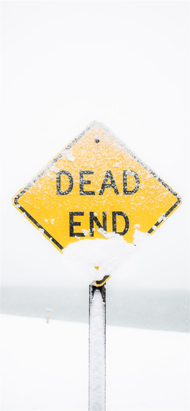 focus photography of dead end road sign covered wi... iPhone 12 wallpaper 