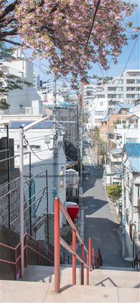 red staircase bar handle wallpaper