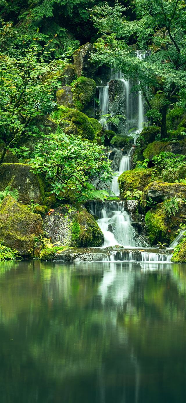 waterfalls surrounded by green leafed trees during... iPhone 12 wallpaper 