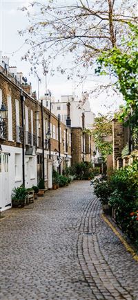 white and brown concrete building beside brown lea... wallpaper