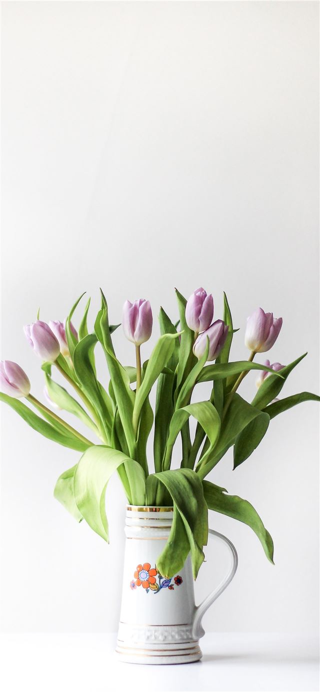 selective focus photography of purple tulip flower... iPhone 12 wallpaper 