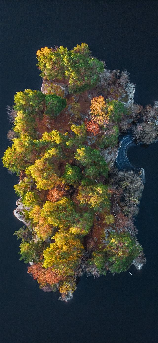 aerial photo of island iPhone 12 wallpaper 