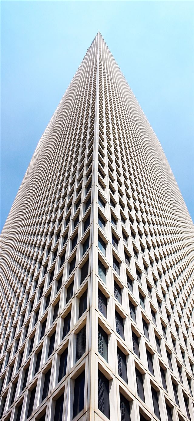architectural and low angle photo of white high ri... iPhone 12 wallpaper 