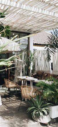 white table with brown wicker chair beside plants wallpaper