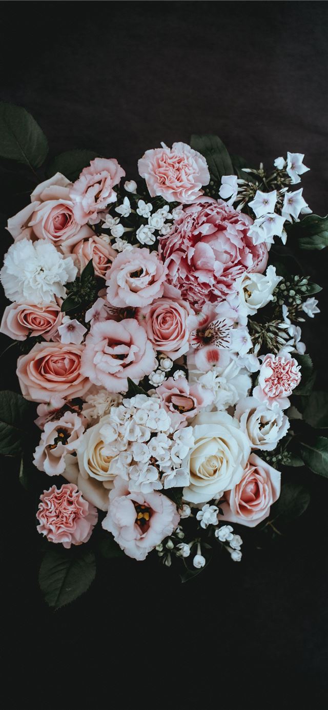 white and pink petaled flower arrangement iPhone 12 wallpaper 