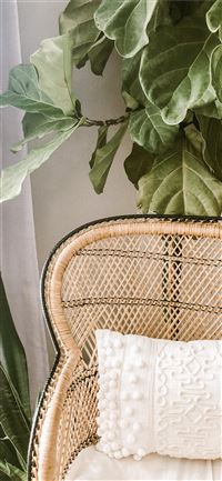 green plant on brown woven basket wallpaper