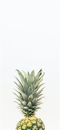 pineapple fruit wallpaper