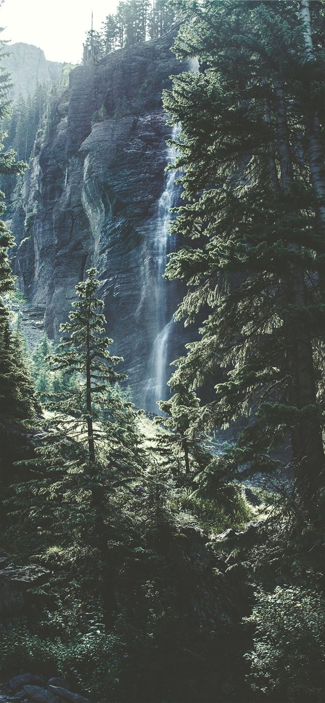 time lapse photo of falls on forest trees iPhone 12 wallpaper 