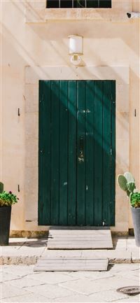 green cactus plant near green door wallpaper
