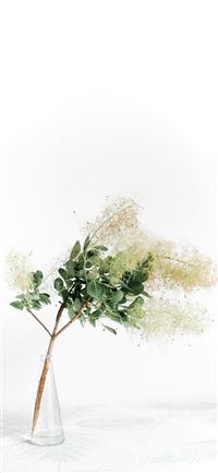 plant on vase wallpaper