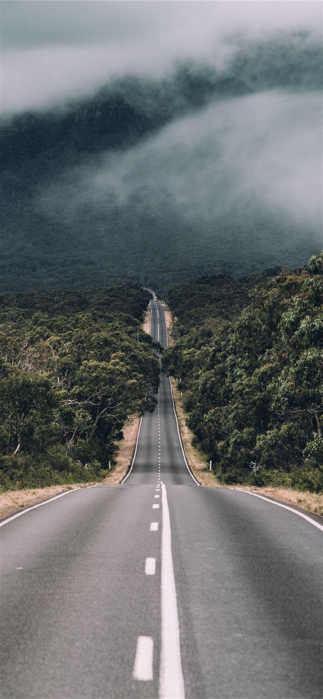 empty road between trees with cloudy sky iPhone 12 wallpaper 
