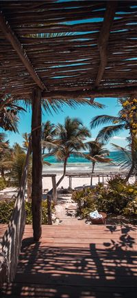 nipa hut under coconut palm trees wallpaper