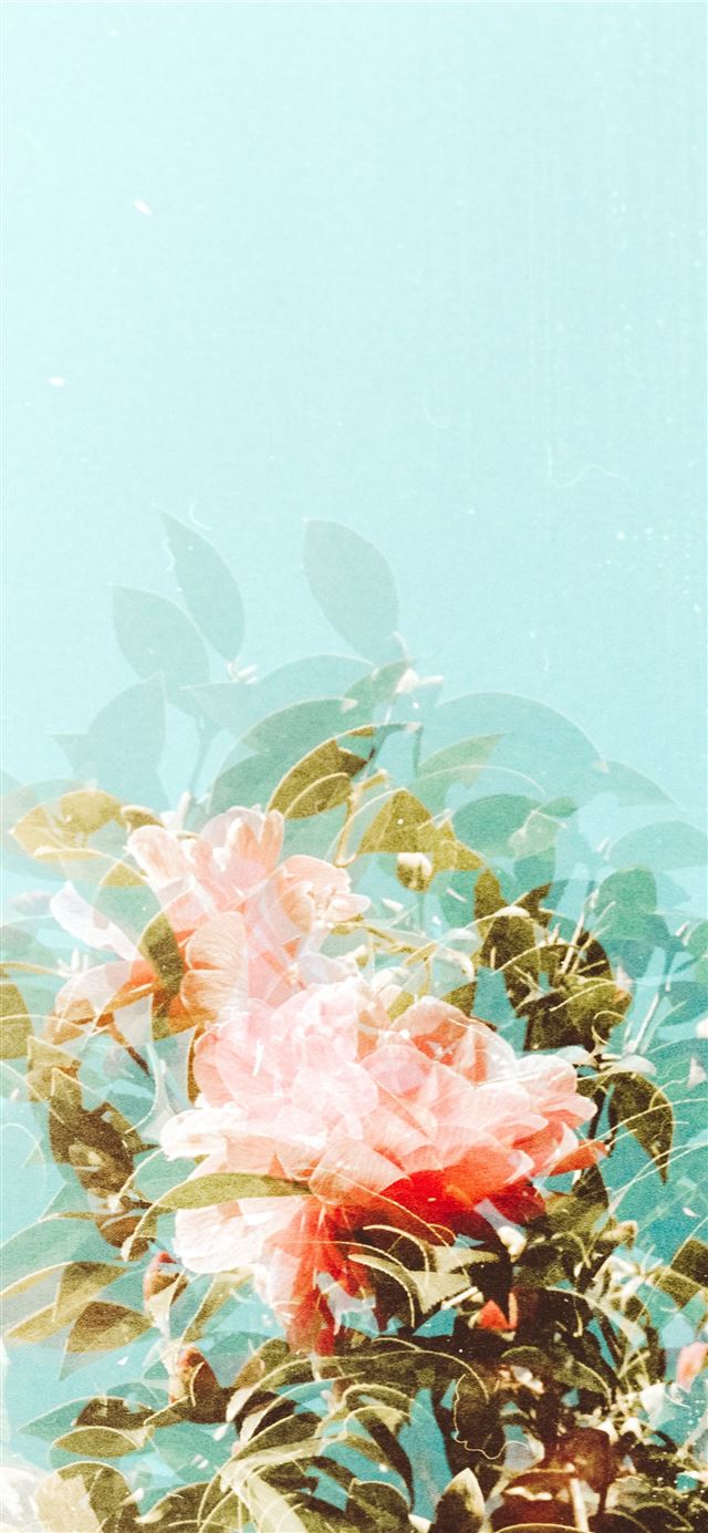 pink and green floral wreath iPhone 12 wallpaper 