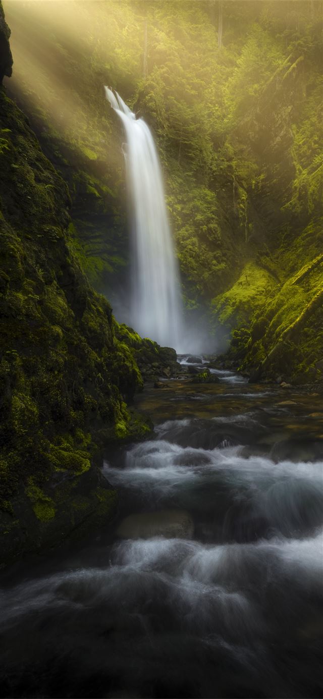 waterfall forest morning sun beams 8k iPhone 12 wallpaper 