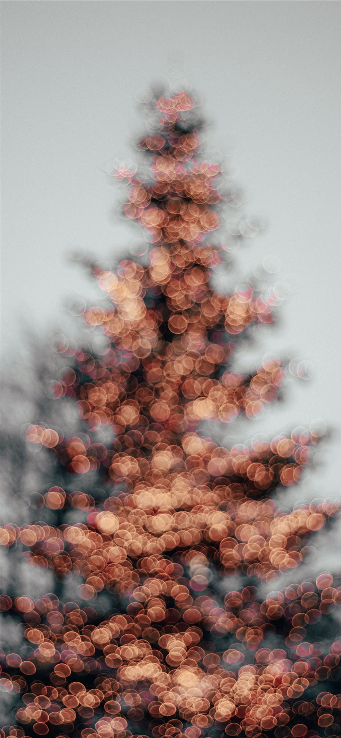 Bokeh Christmas tree iPhone Wallpapers Free Download