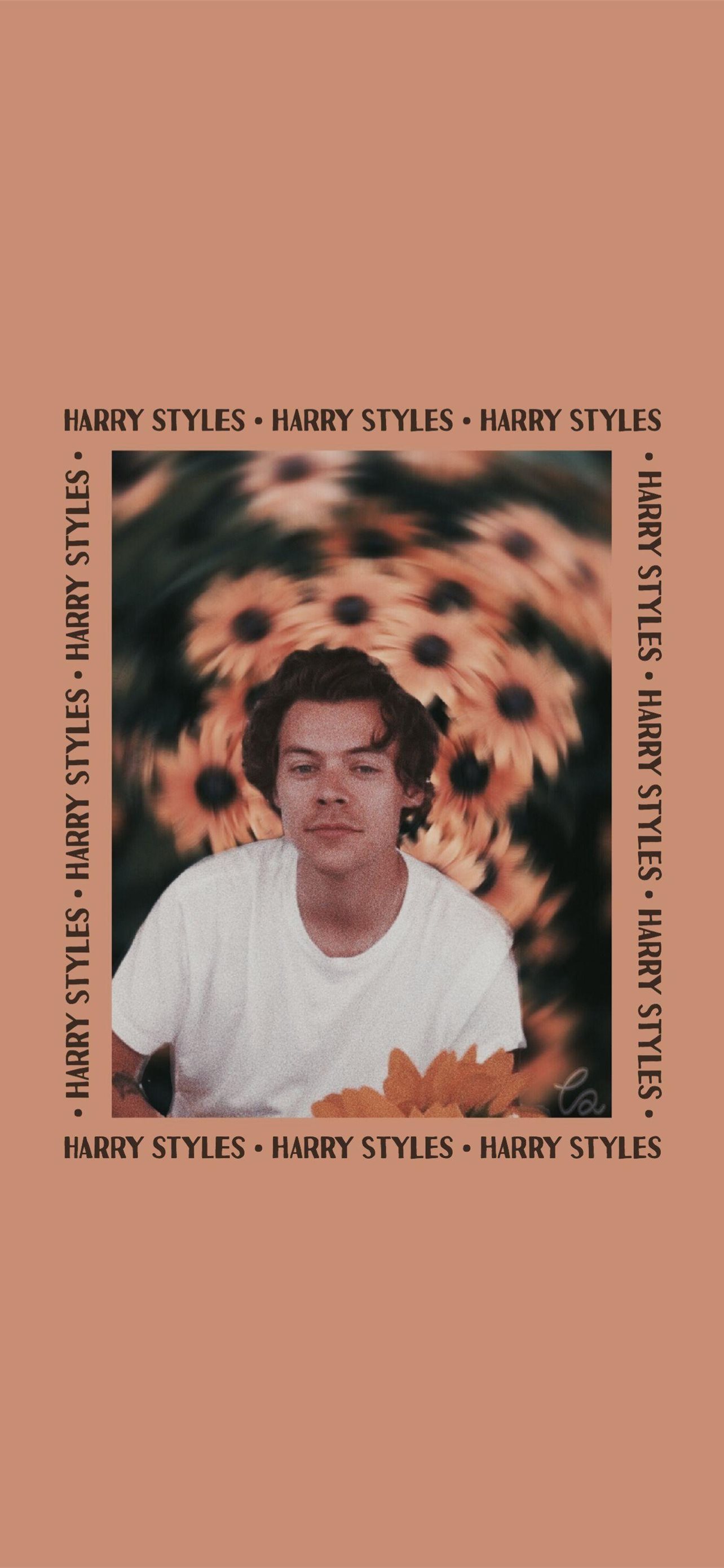 Harry Styles Aesthetic Wallpapers  Top Free Harry Styles Aesthetic  Backgrounds  WallpaperAccess