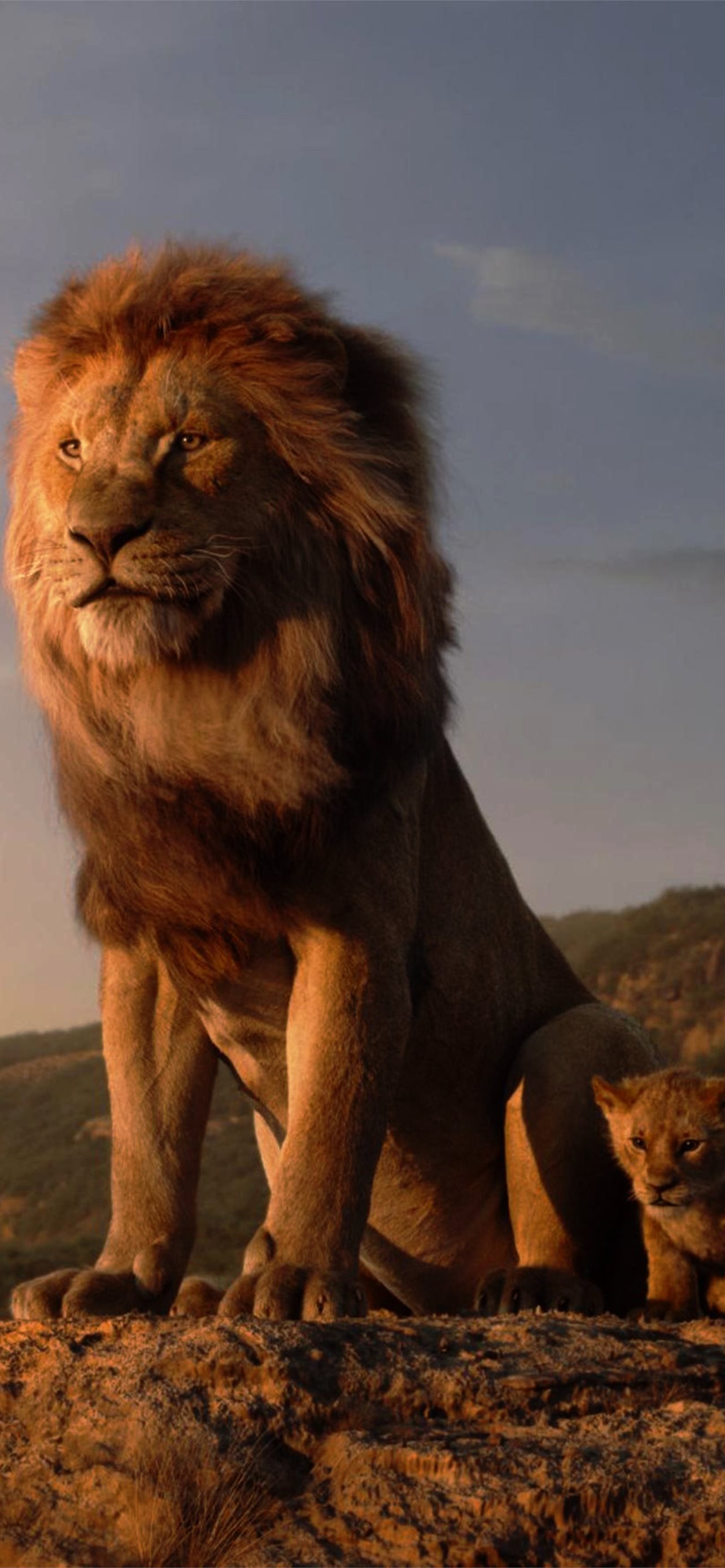 The Lion King Resolution HD Movies 4K Images Photo... iPhone Wallpapers  Free Download