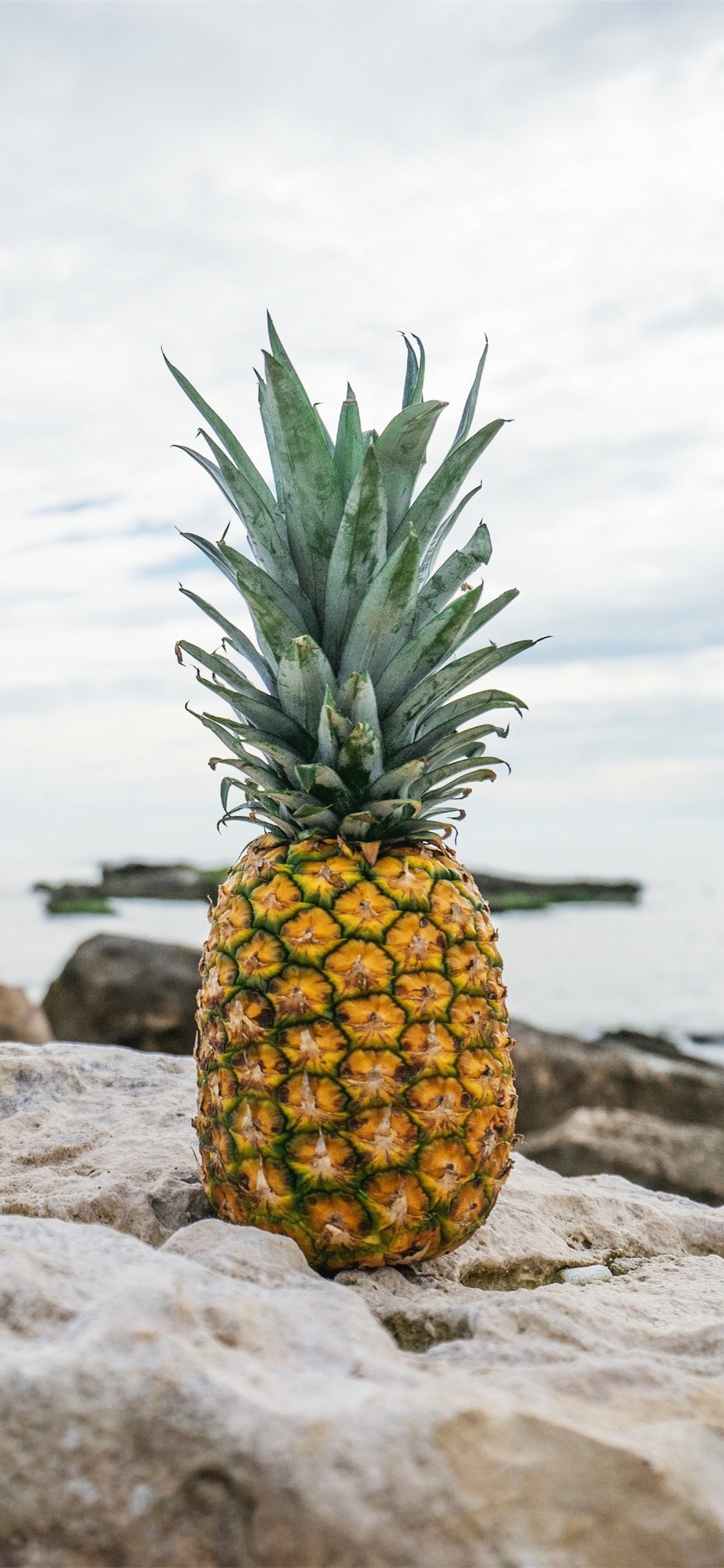 pineapple in water iPhone X Wallpapers Free Download