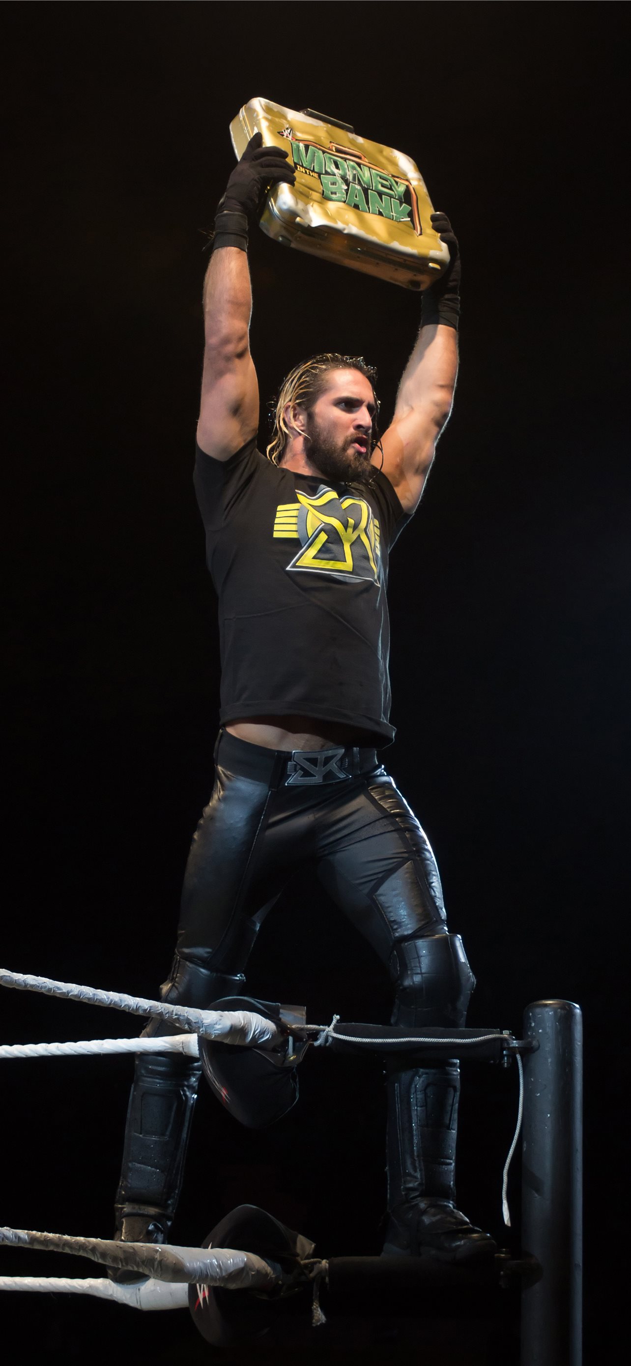 1920x1200 / 1920x1200 seth rollins wallpaper for computer -  Coolwallpapers.me!