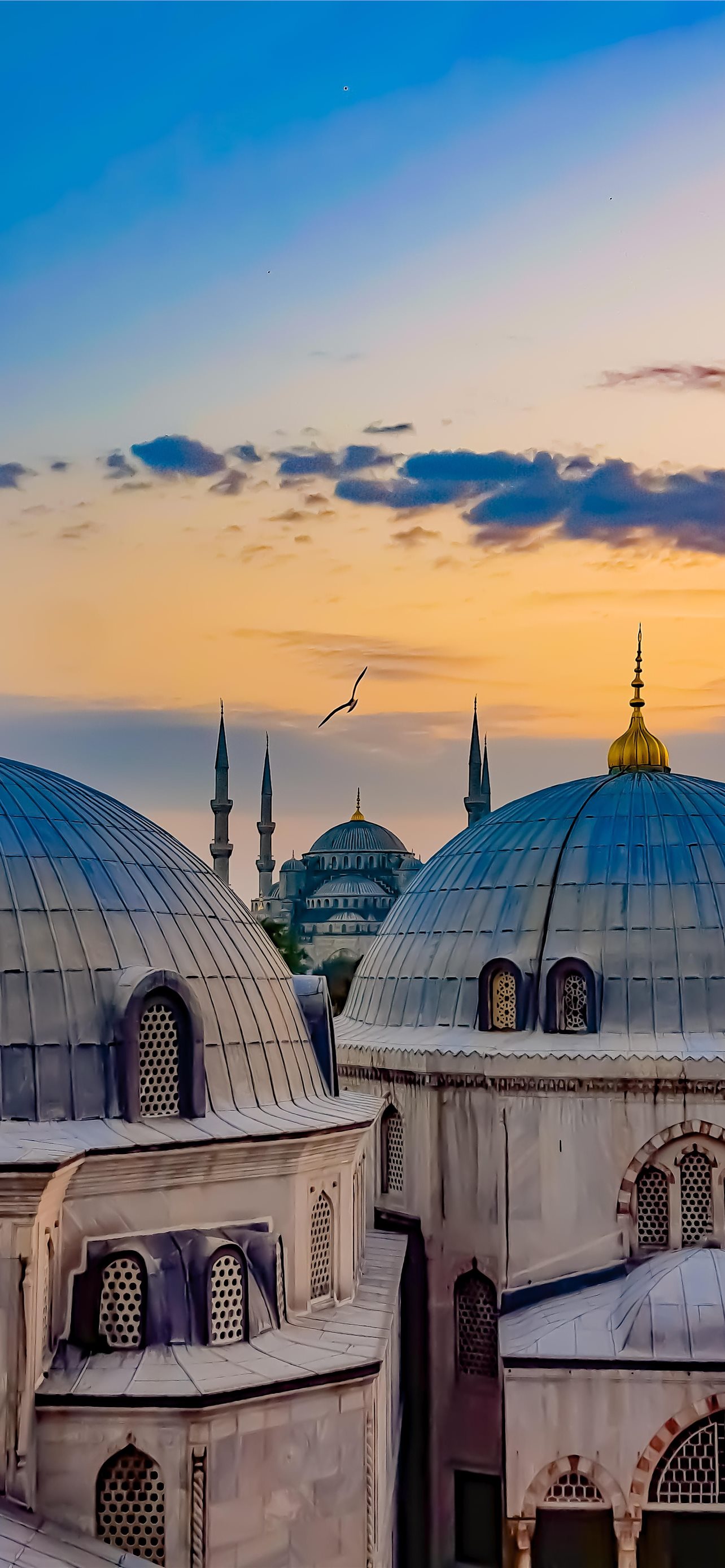 Wallpaper ID 303648  Religious Hagia Sophia Phone Wallpaper Night  Architecture Mosque Istanbul Dome 1440x3200 free download