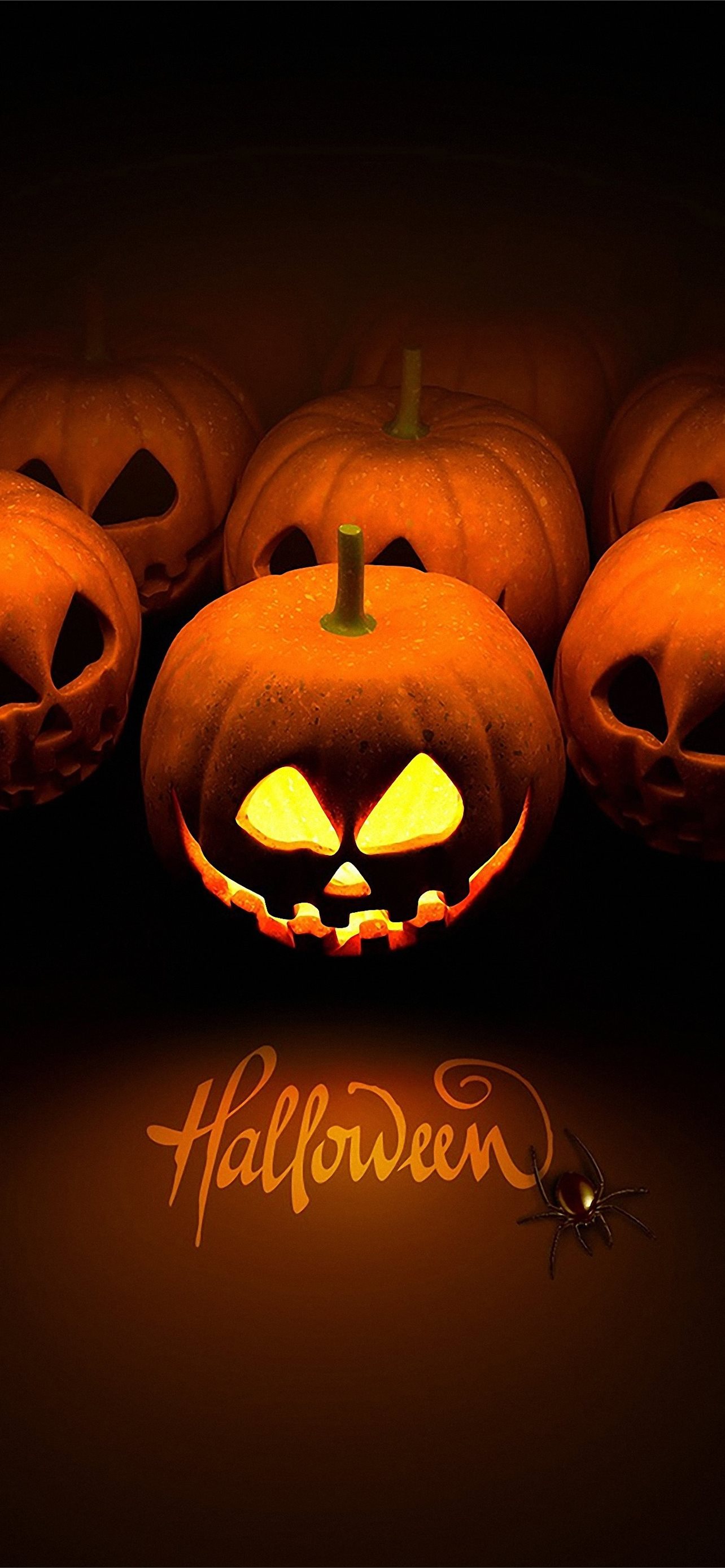 Free Hd Halloween Pumpkin Galaxy S8 Halloween for ... iPhone Wallpapers  Free Download