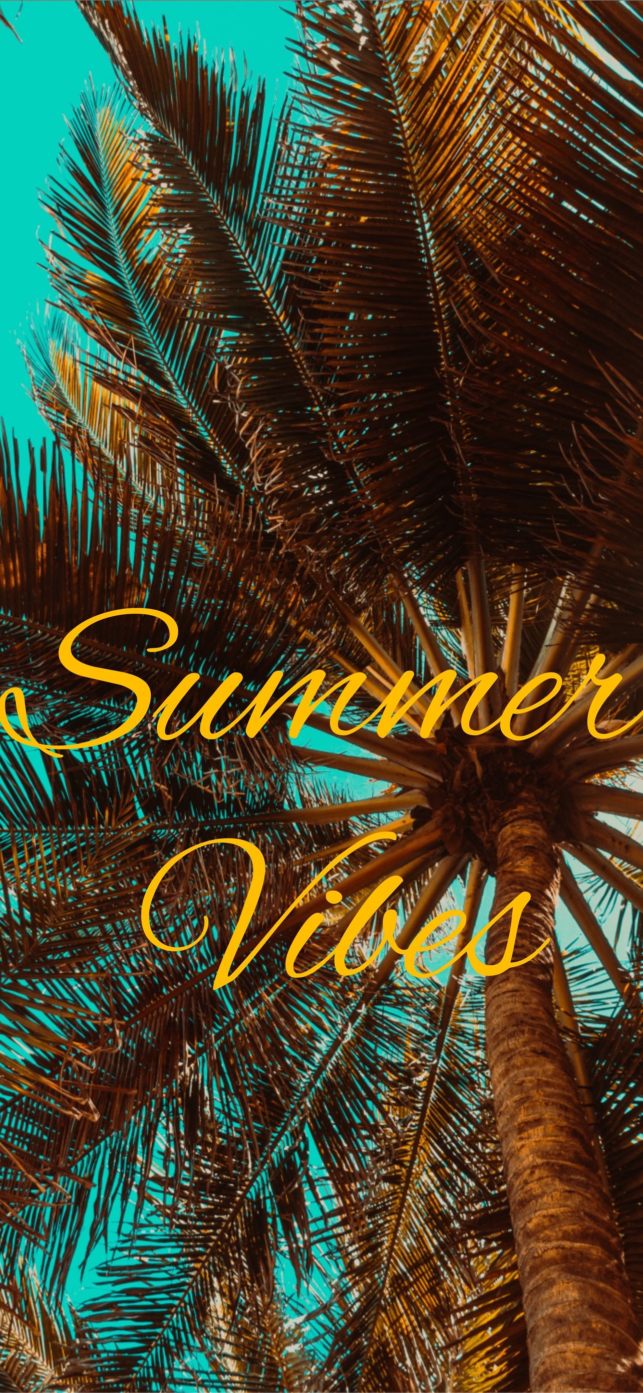 Summer Vibes Top Free Summer Vibes Backgrounds Acc... iPhone Wallpapers  Free Download