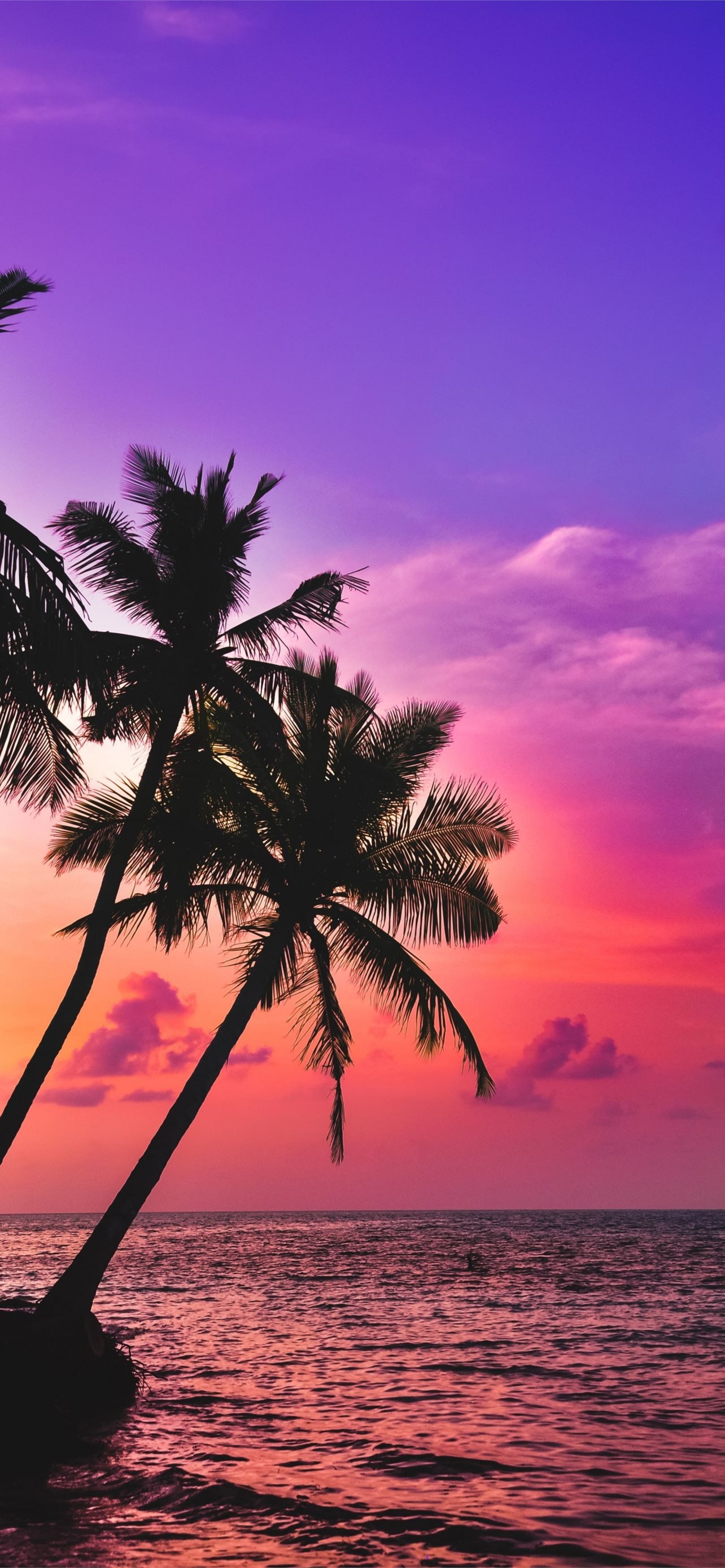 sunset beach iPhone Wallpapers Free Download