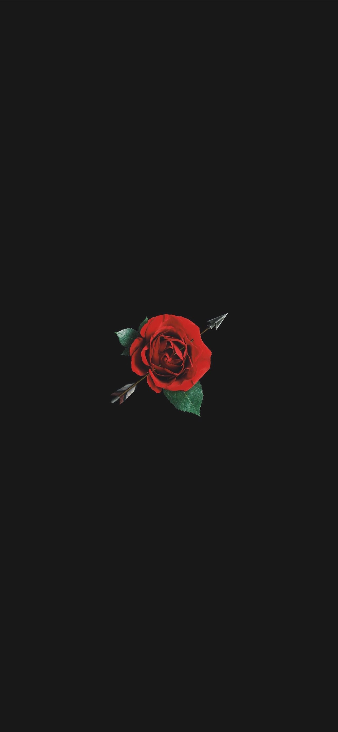 Fire Rose IPhone Wallpaper HD  IPhone Wallpapers  iPhone Wallpapers