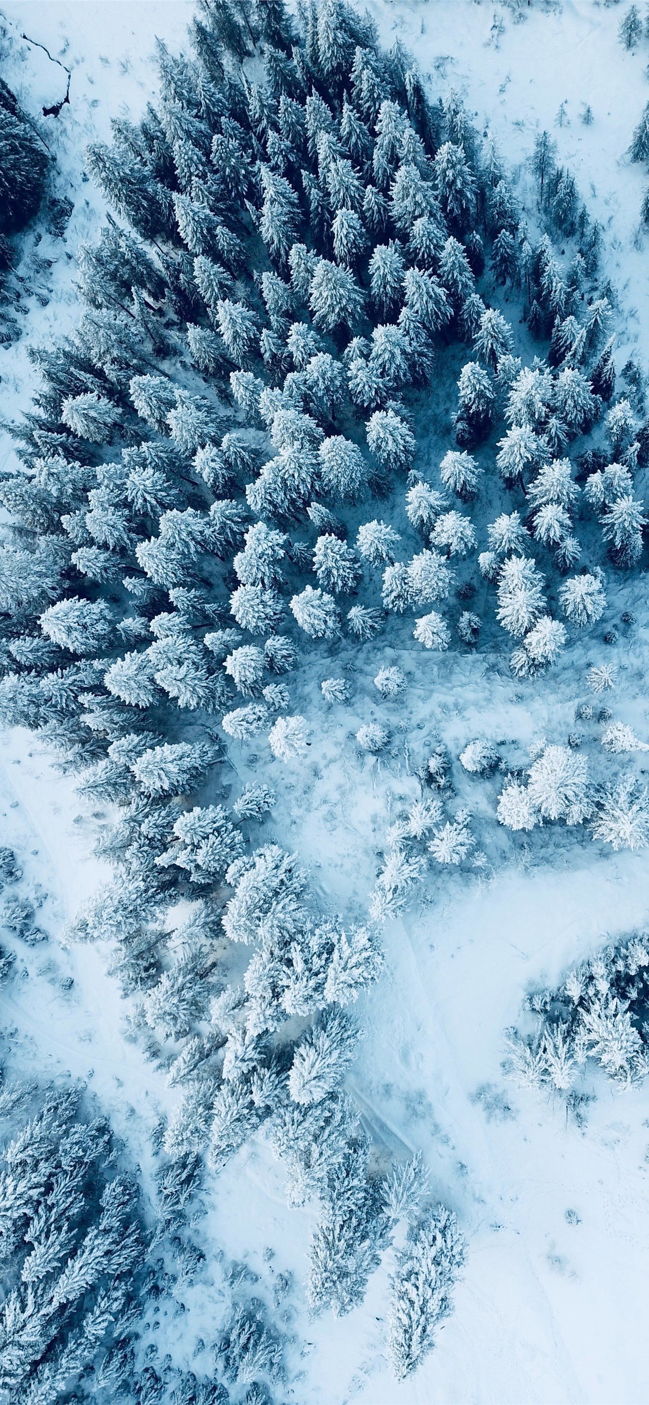 Nature phone winter HD wallpapers  Pxfuel