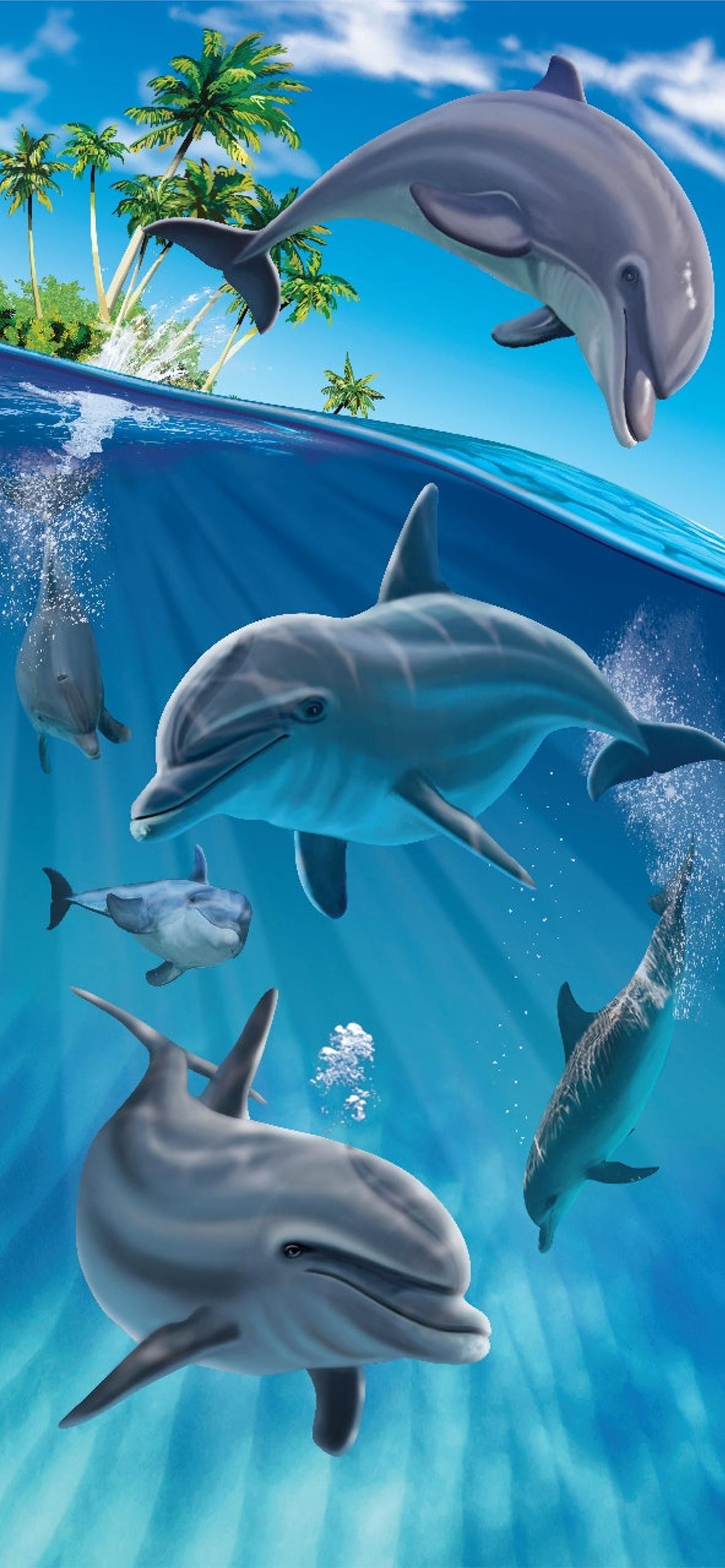 Bottlenose dolphin 1080P 2K 4K 5K HD wallpapers free download  Wallpaper  Flare