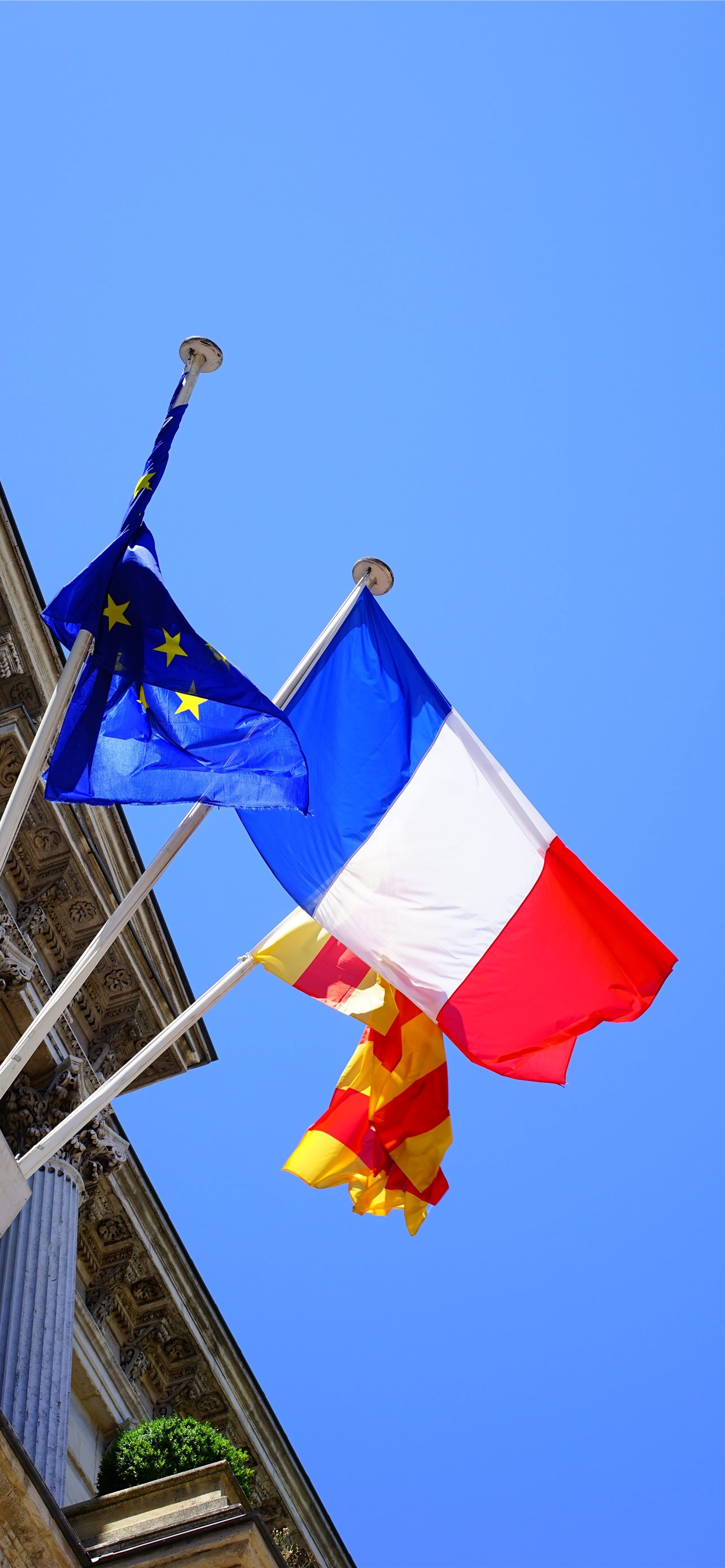 Download France Flag Wall Cracks Wallpaper  Wallpaperscom