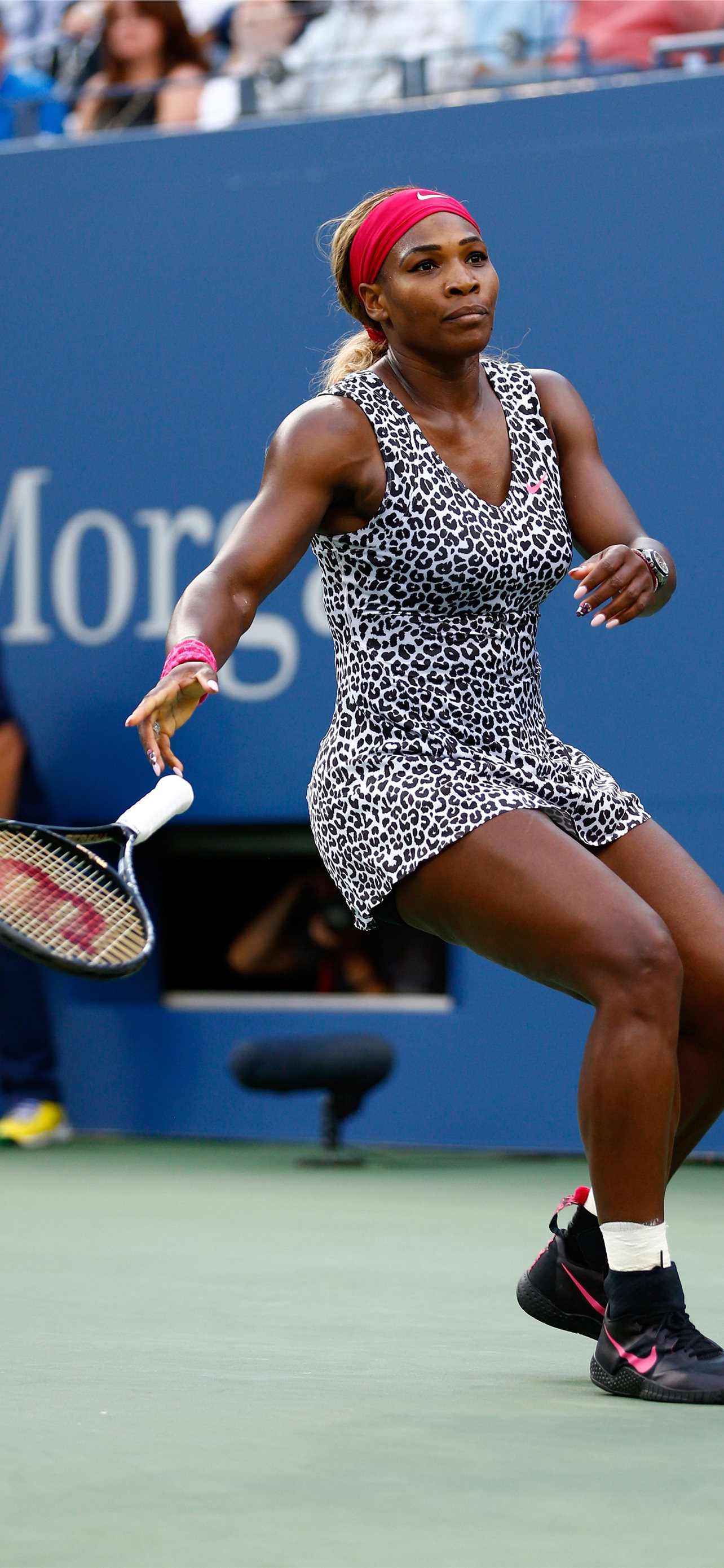 serena williams iPhone Wallpapers Free Download
