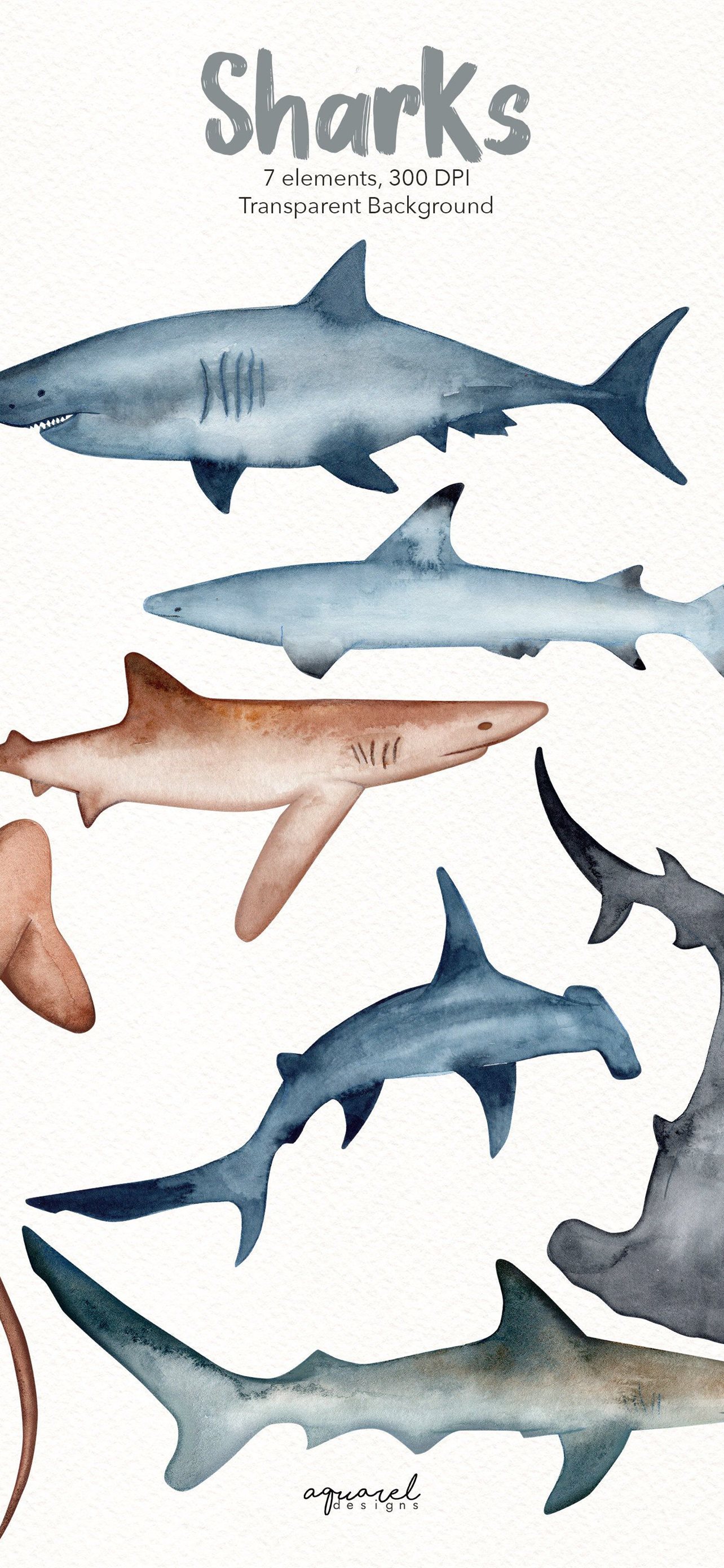 Wallpaper ID 360293  Animal Hammerhead Shark Phone Wallpaper Underwater  Shark 1080x2340 free download
