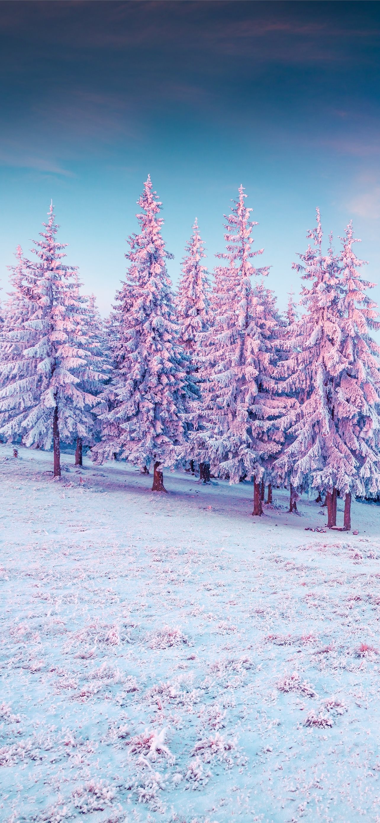 Nature Winter Through Pink Woods iPhone 6 Wallpaper Download  iPhone  Wallpapers iPad wallpapers Onest  Iphone wallpaper winter Winter  wallpaper Winter iphone