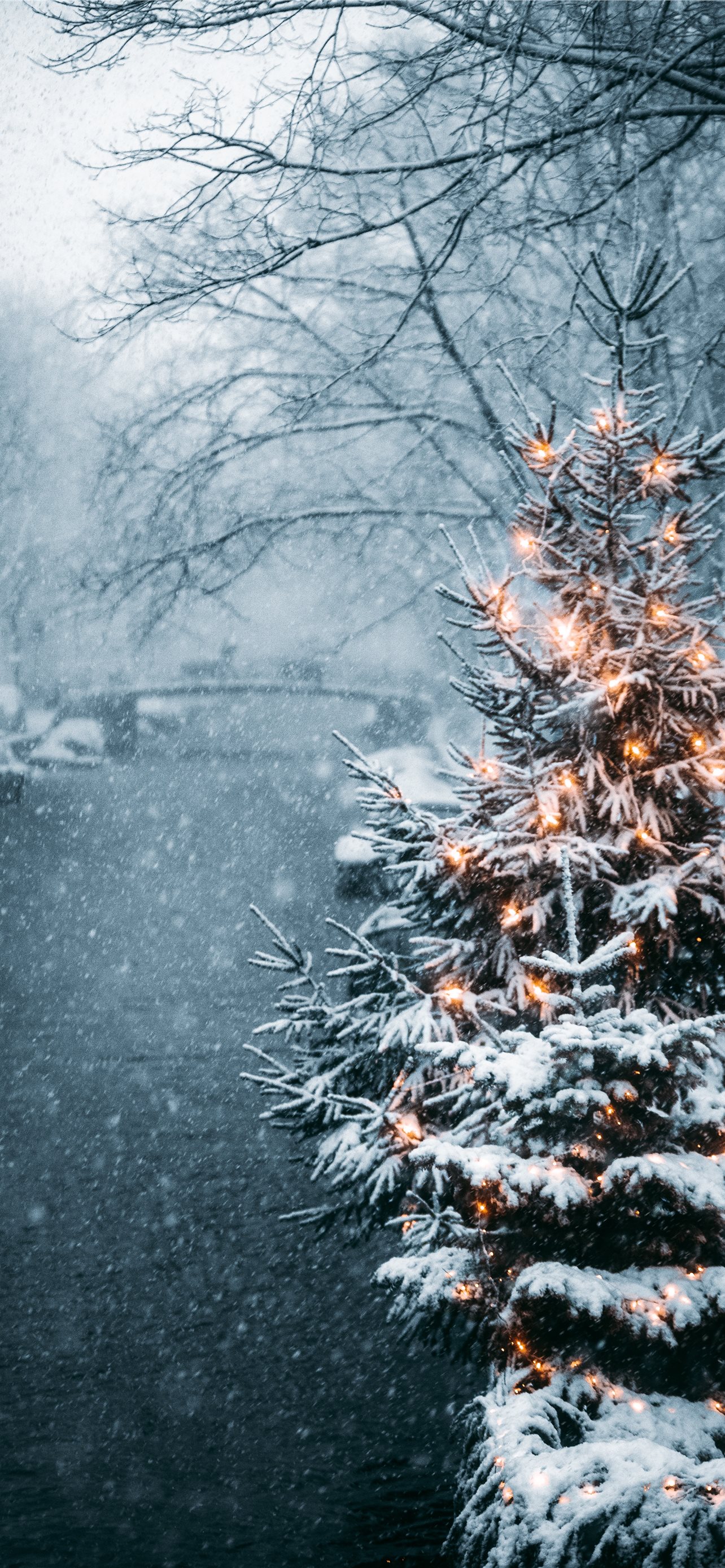 Christmas Snow Pictures  Download Free Images on Unsplash
