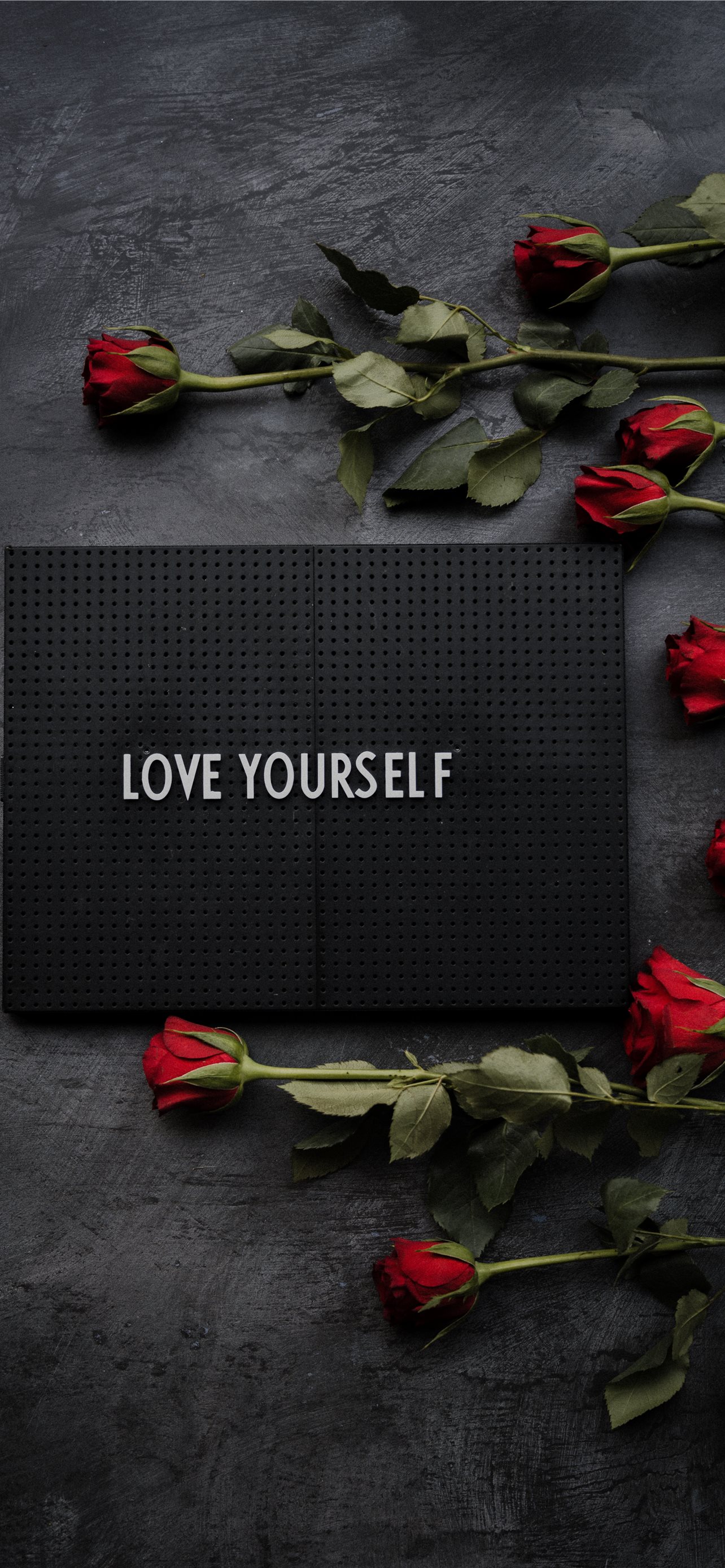 20 Self Love and Positive Affirmations Wallpaper  inPeaches