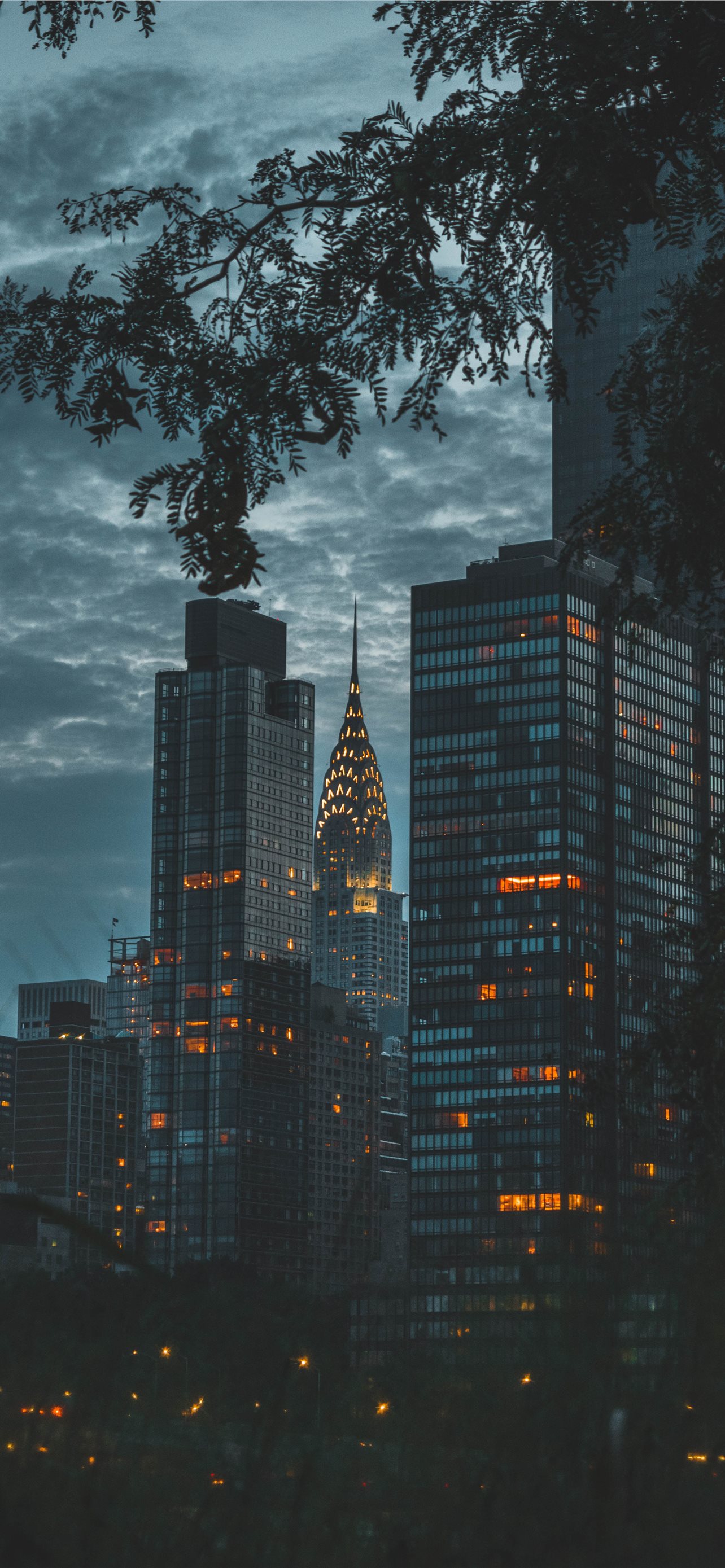 550+ Night City Pictures | Download Free Images on Unsplash