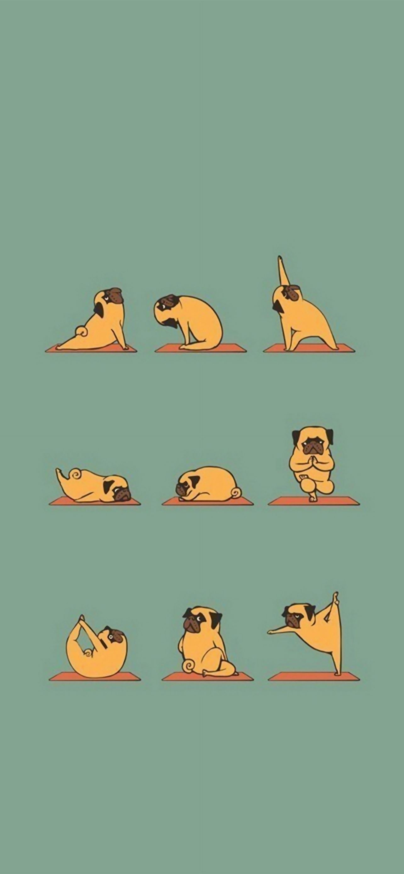Funny Pug Doing Yoga iPhone Wallpapers Free Download