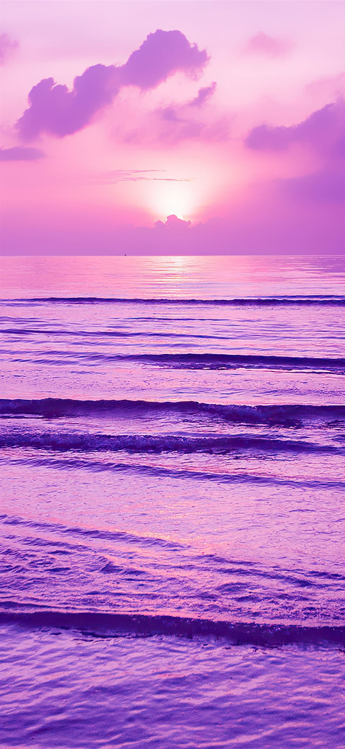 purple sunset 4k iPhone Wallpapers Free Download