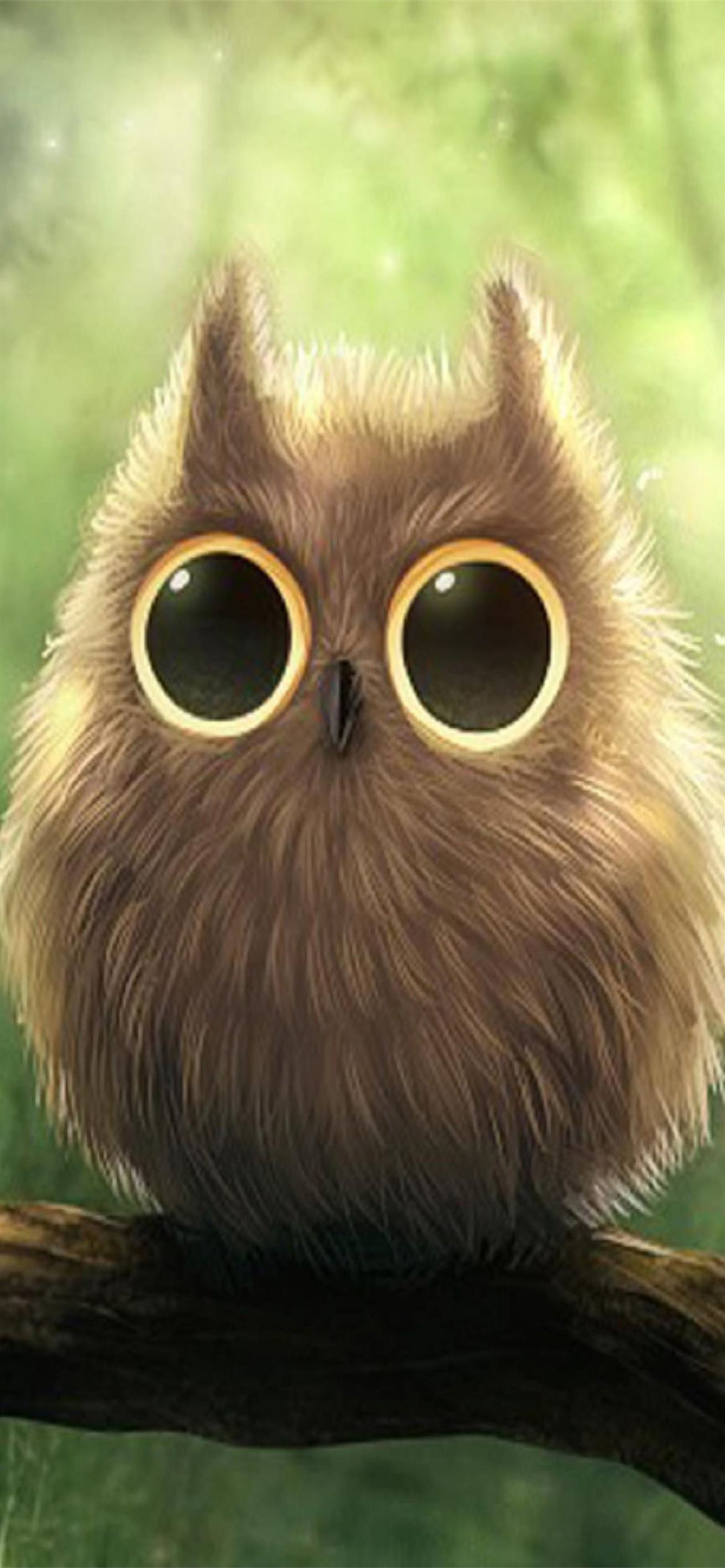 Anime owl net