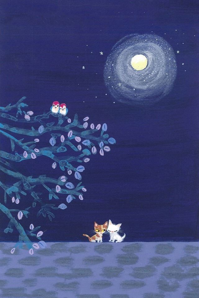 640x960 Affectionate cat - cat iPhone 4s Wallpaper