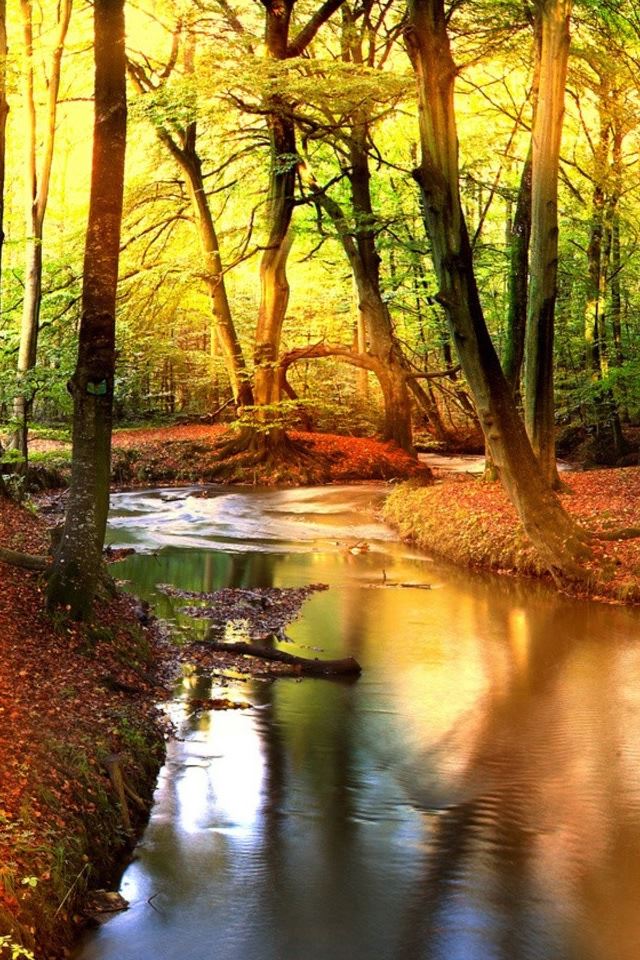 640x960 Creek In The Forest - sunshine iPhone 4s Wallpaper