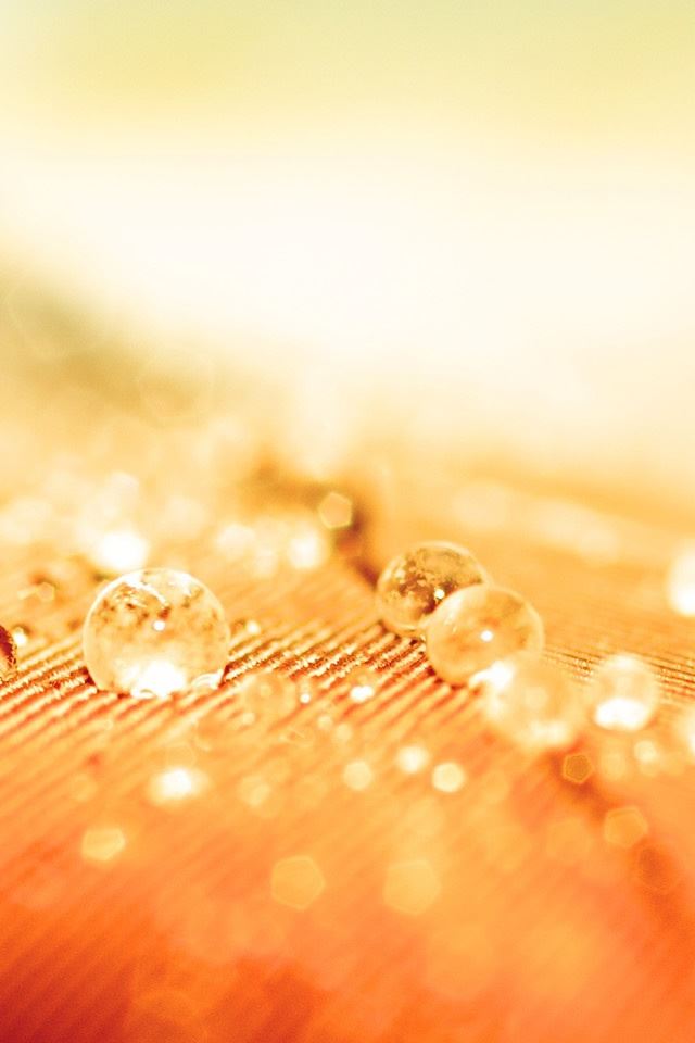 640x960 Water Resistant - droplet iPhone 4s Wallpaper