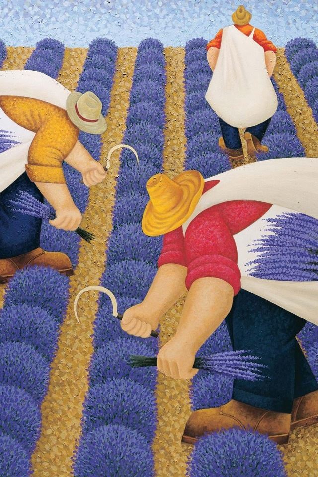 640x960 Lowell Lavender harvest season - lavender iPhone 4s Wallpaper