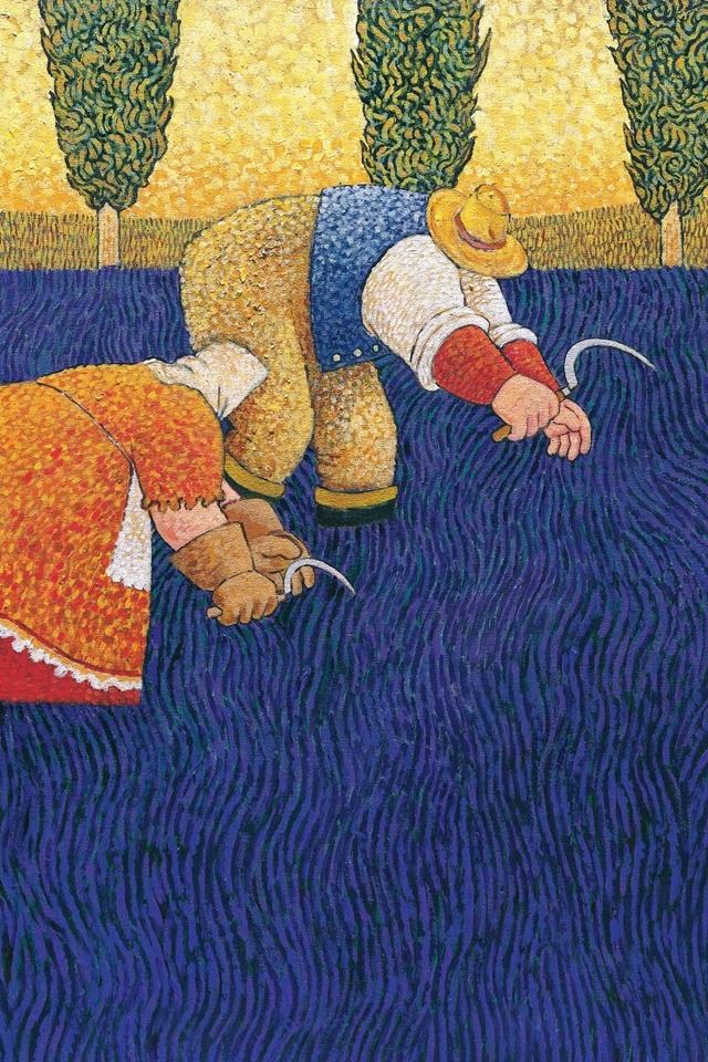 640x960 Lavender harvest - lavender iPhone 4s Wallpaper