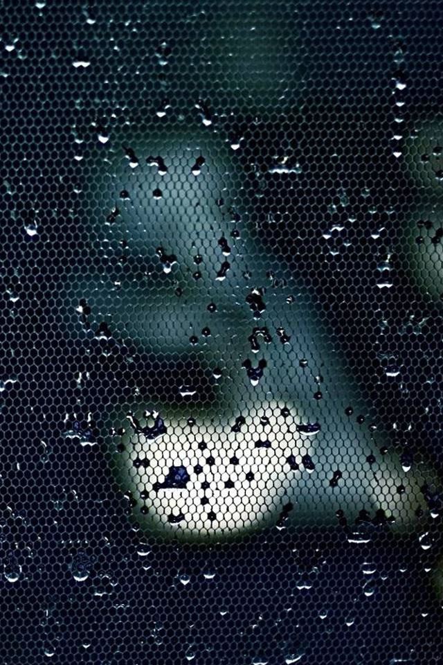 640x960 Water Drops On A Mesh - mesh iPhone 4s Wallpaper