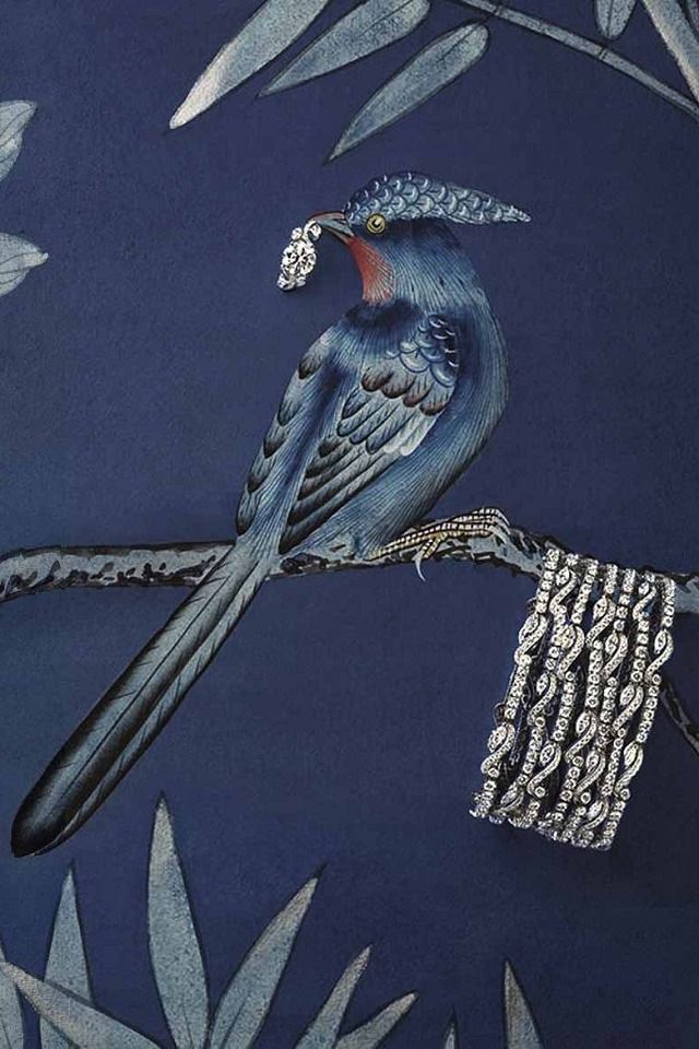 640x960 Kiss from a rose - bird iPhone 4s Wallpaper